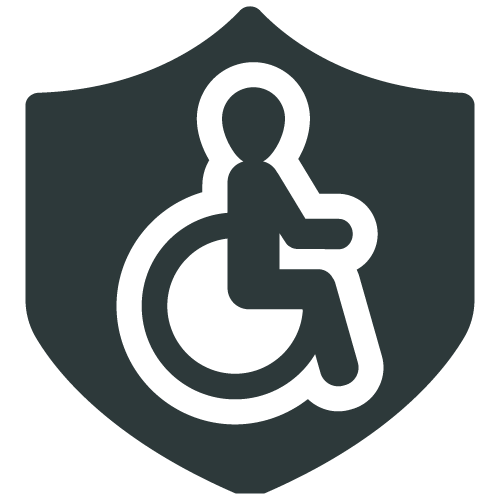 VBRO-careers-disability-1-1